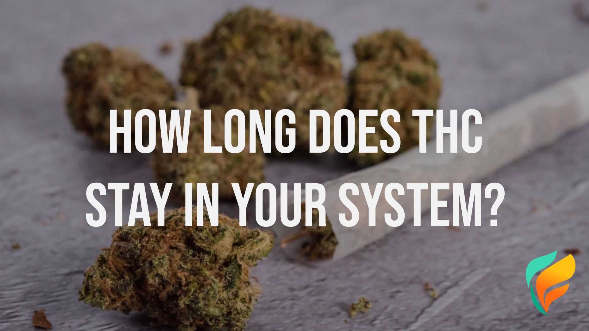 How Long Does THC Stay In Your System?