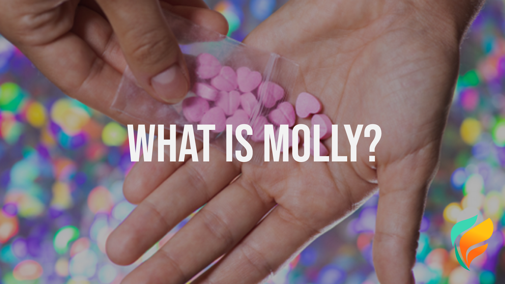 What is Molly?