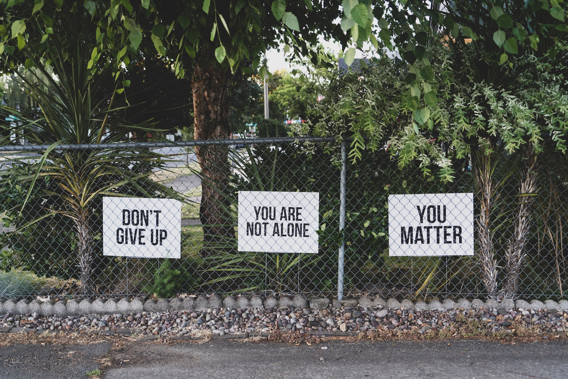 Picture of a chainlink fence with supportive signs attached to it.