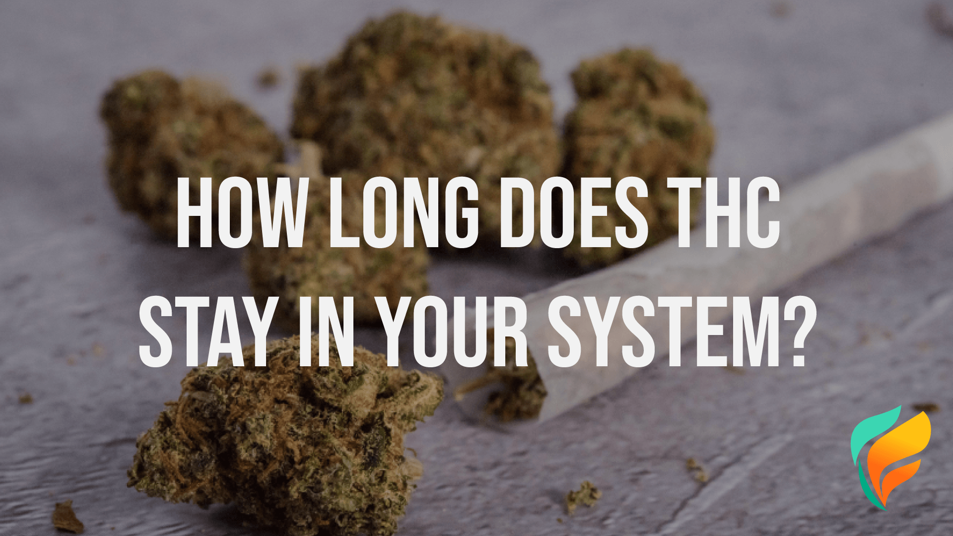 How long does THC stay in your system? A question anyone involved in cannabis use has asked themselves.