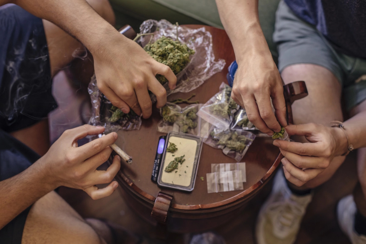 A group of people with bags of marijuana roll joints, fueling their marijuana addiction.
