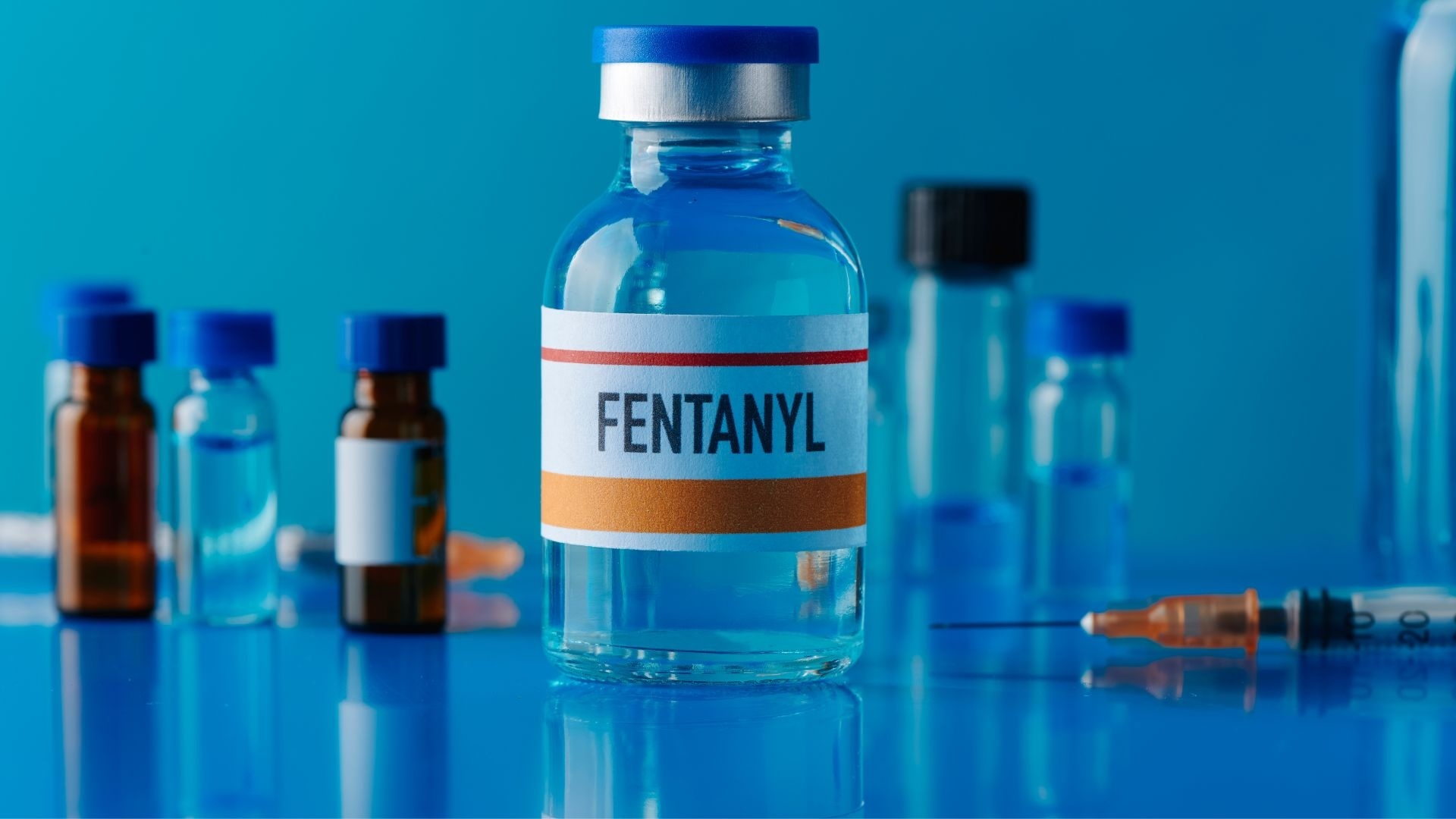 carfentanil-vs-fentanyl carfentanil-vs-fentanyl