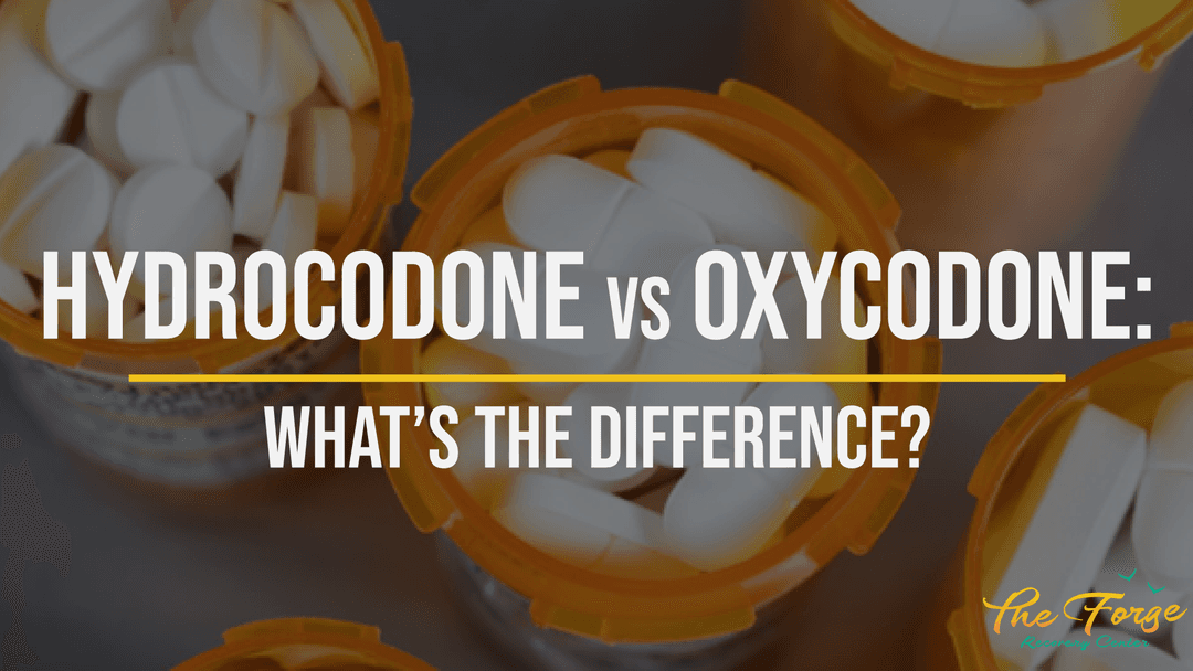 Hydrocodone vs. Oxycodone: Facts & Differences Between These Synthetic Opioids