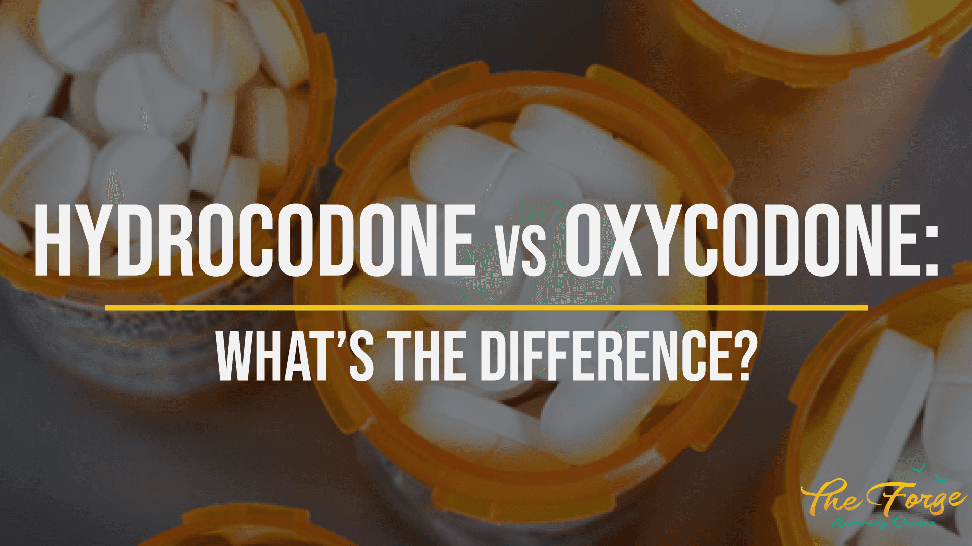 Hydrocodone vs. Oxycodone: Facts & Differences Between These Synthetic Opioids