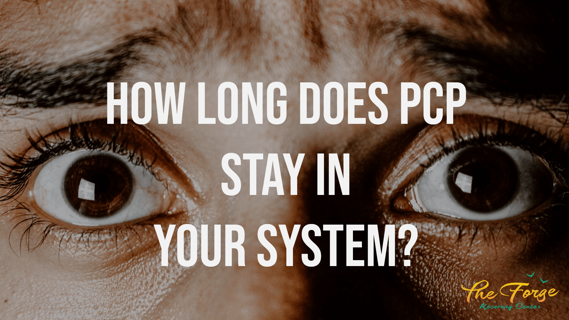 PCP: How Long Does PCP Stay in Your System? Exploring Detection Times and Factors