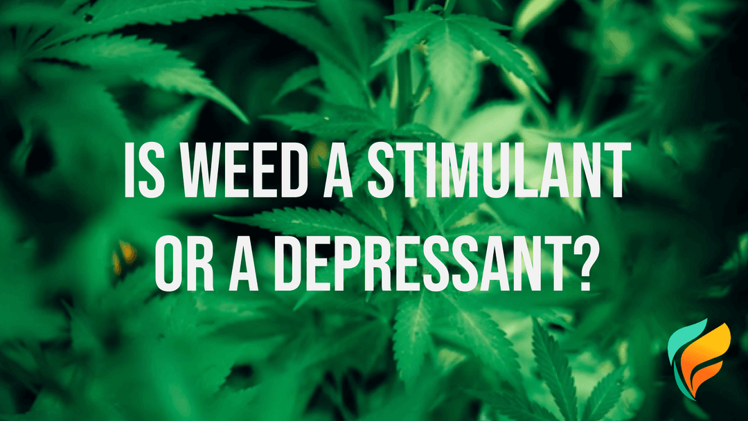 Is Weed a Stimulant or a Depressant?