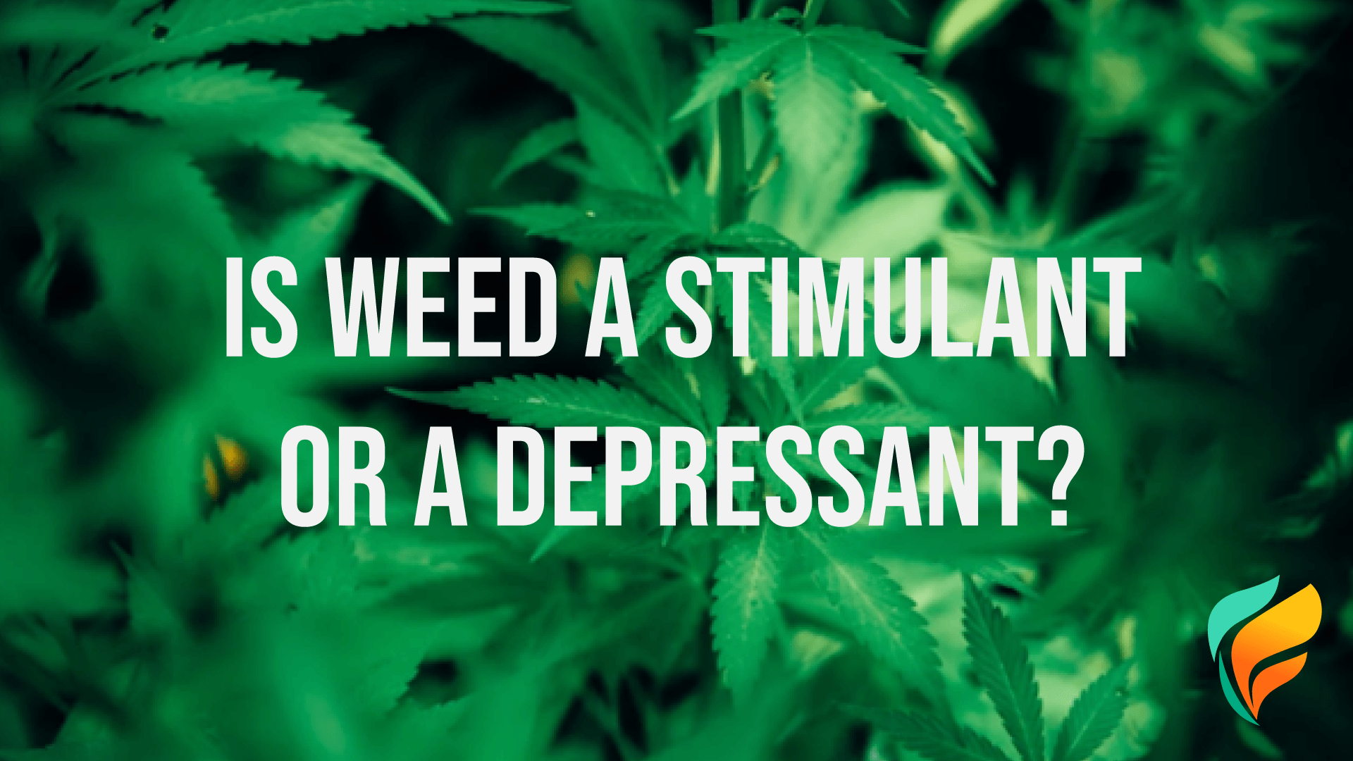 Is Weed a Stimulant or Depressant?