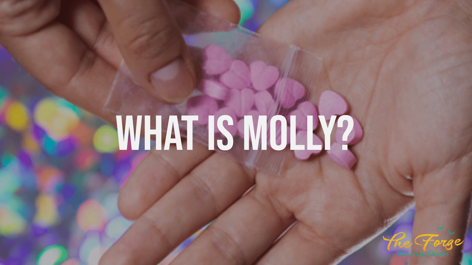 What is Molly?