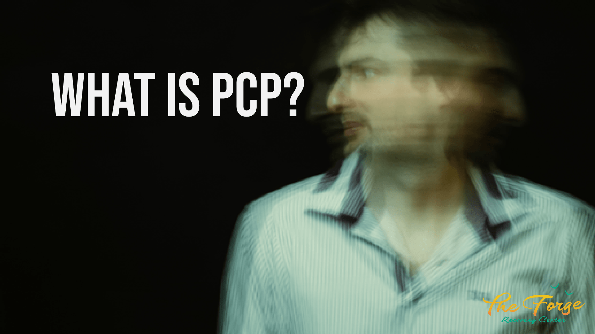 PCP: What is PCP, the Effects, Risks, & More of this Dangerous Anesthetic