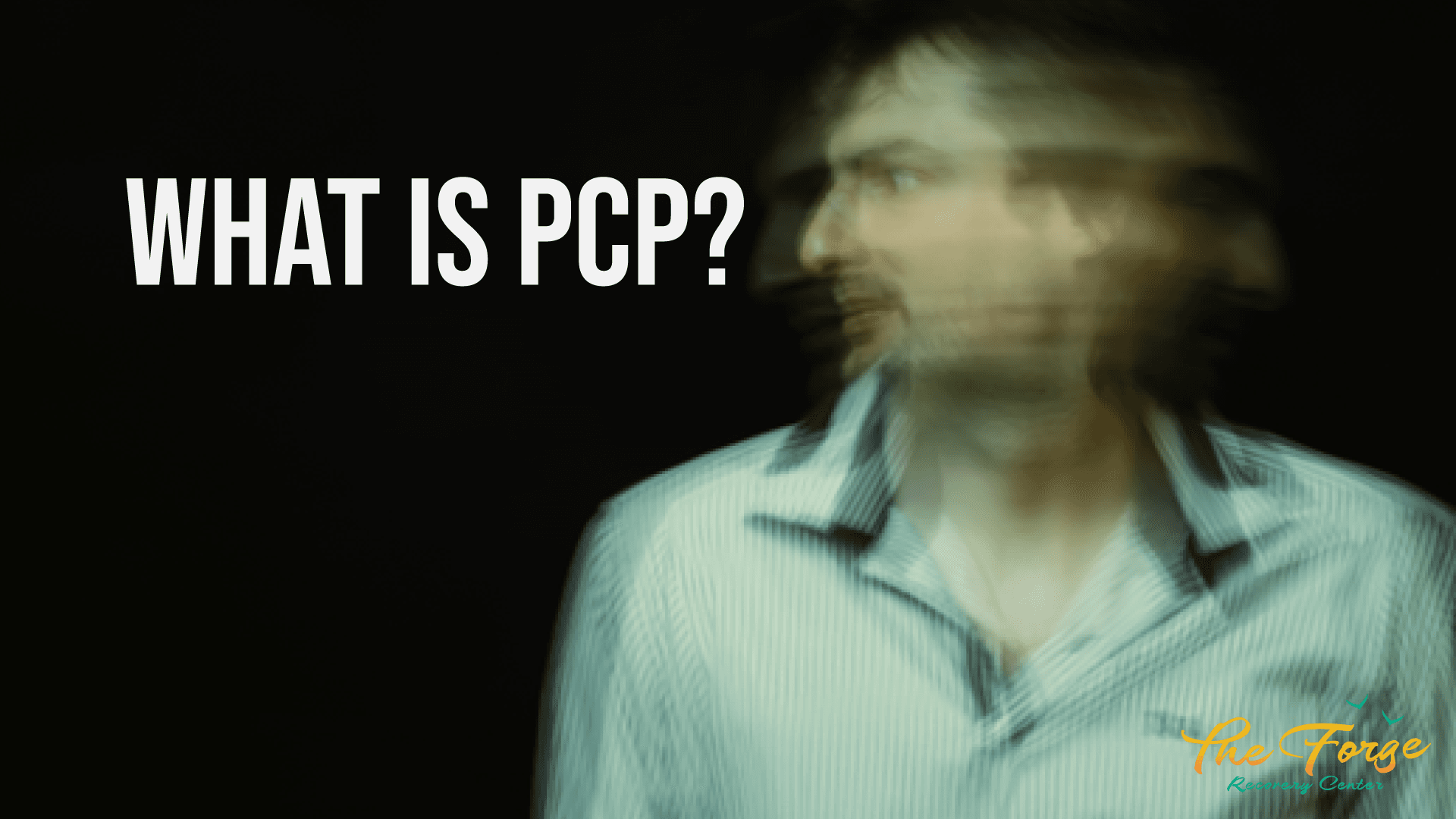 What is PCP?