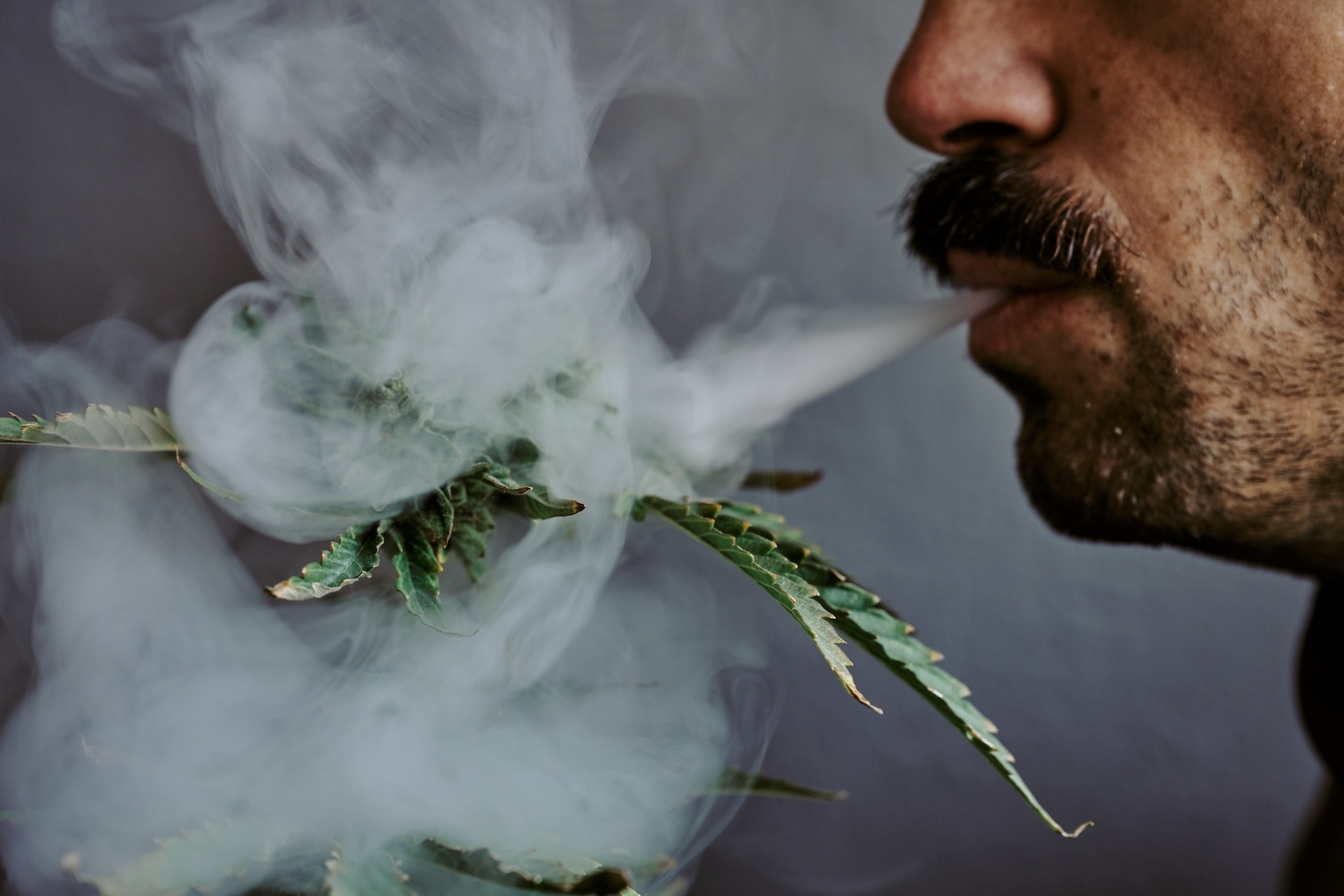 detail-shot-of-a-young-man-smelling-smoking-and-b-2024-09-18-04-27-16-utc