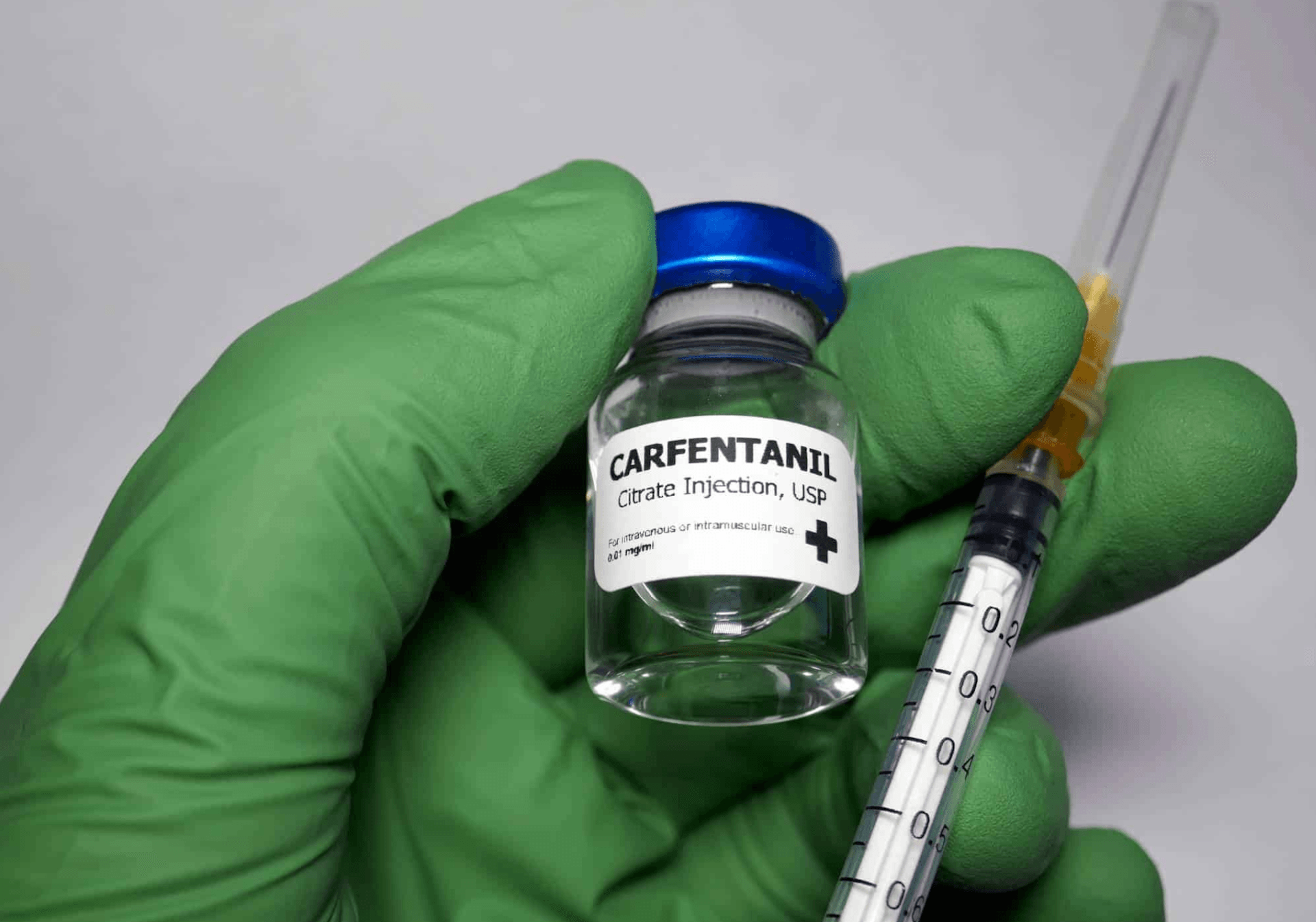 CleanShot 2025-08-01 at 11.12.23