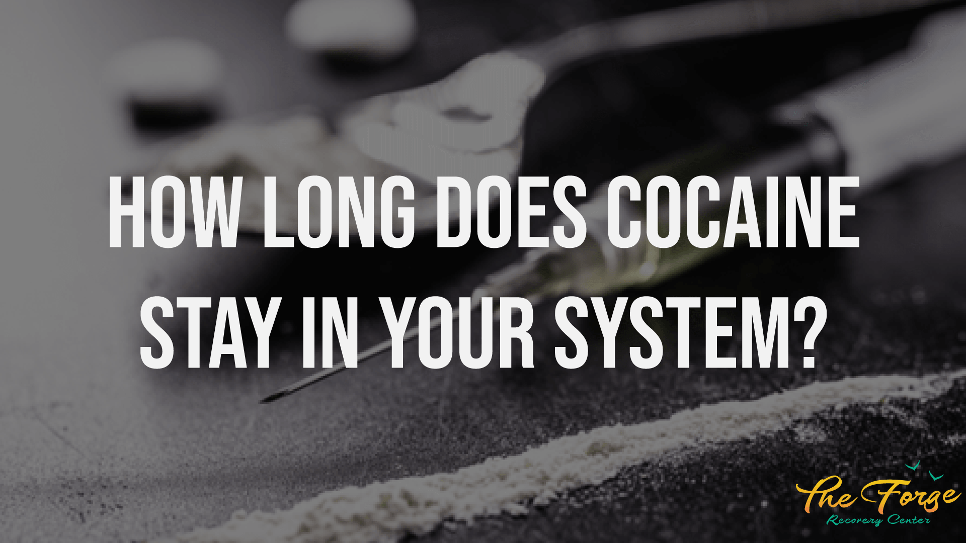 Cocaine: How Long Does Cocaine Stay in Your System & More