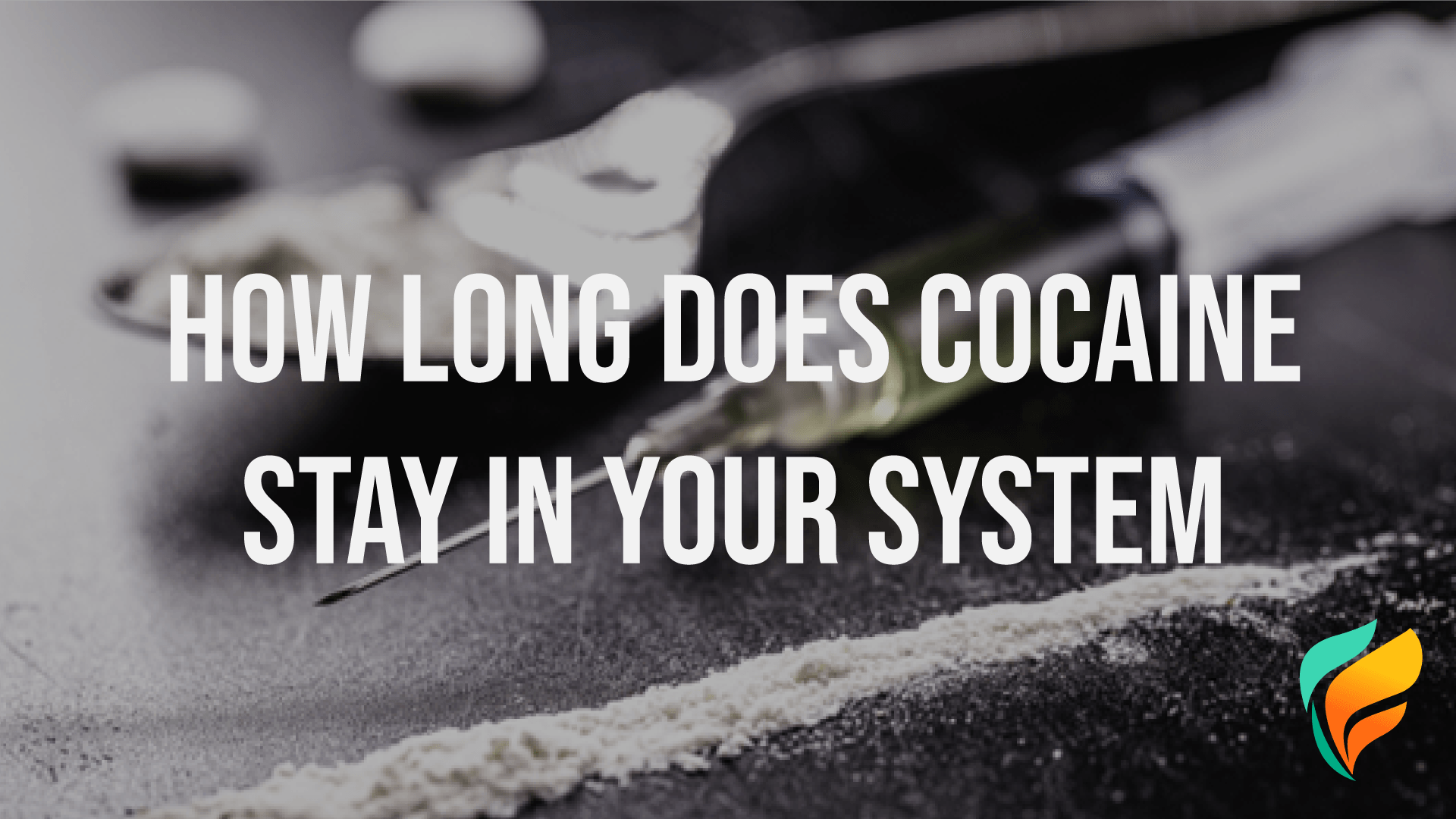 Cocaine: How Long Does Cocaine Stay in Your System & More
