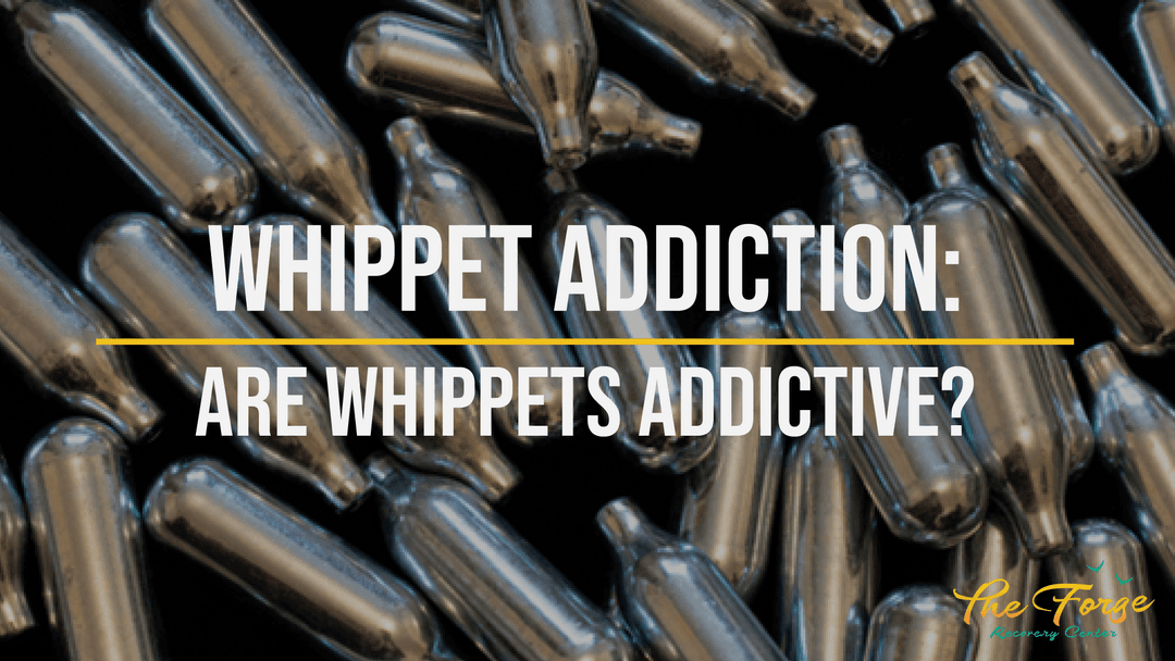 What Is Whippet Addiction?