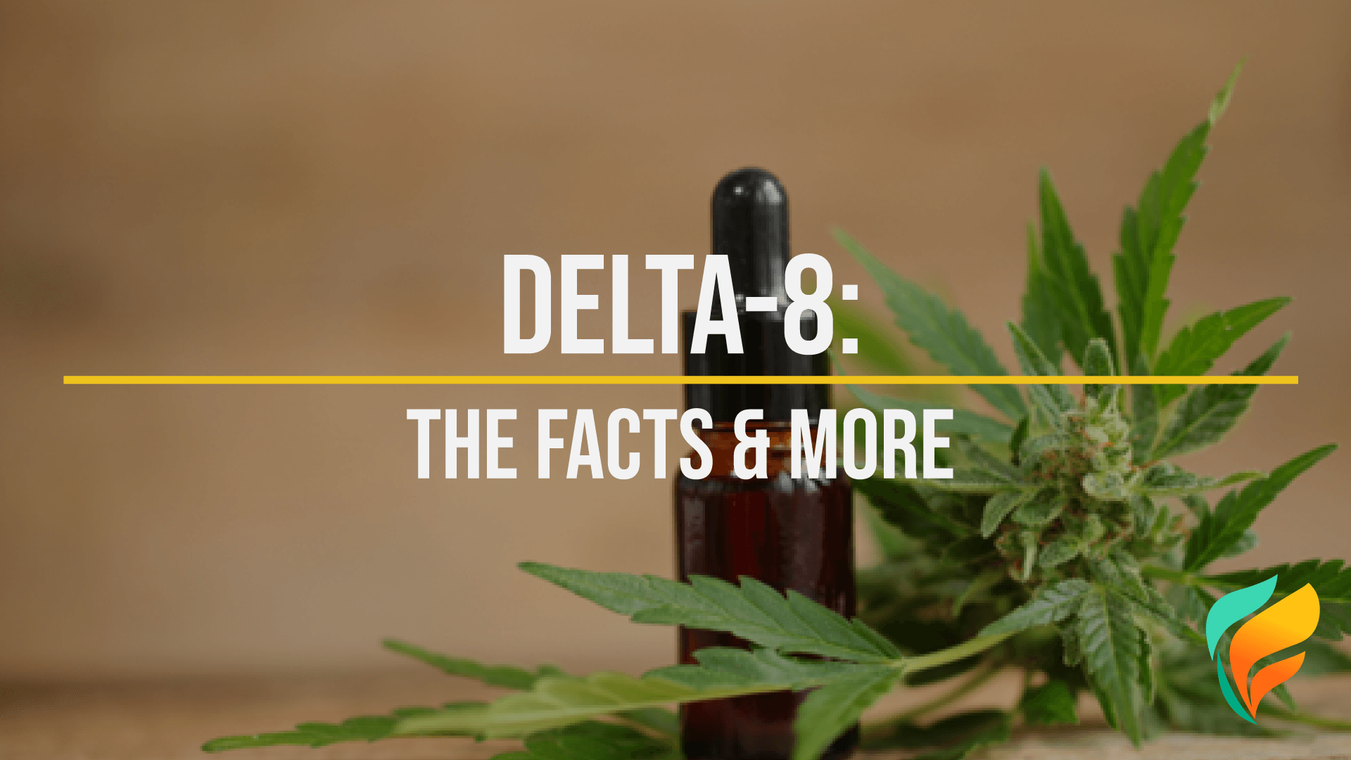 How Long Does a Delta-8 High Last?
