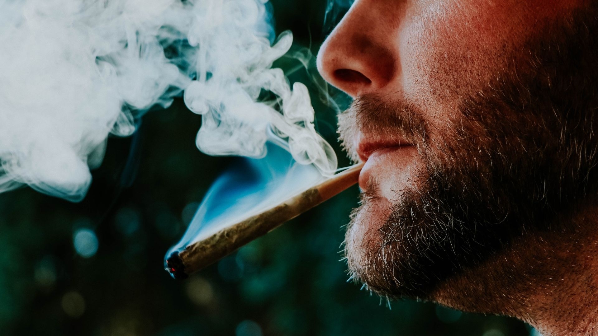 will-a-3day-tolerance-break-do-anything will-a-3day-tolerance-break-do-anything