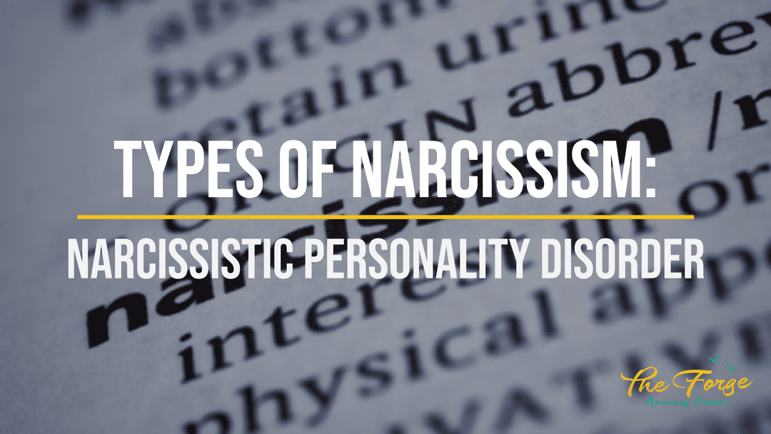 What are the Types of Narcissistic Personality Disorder?