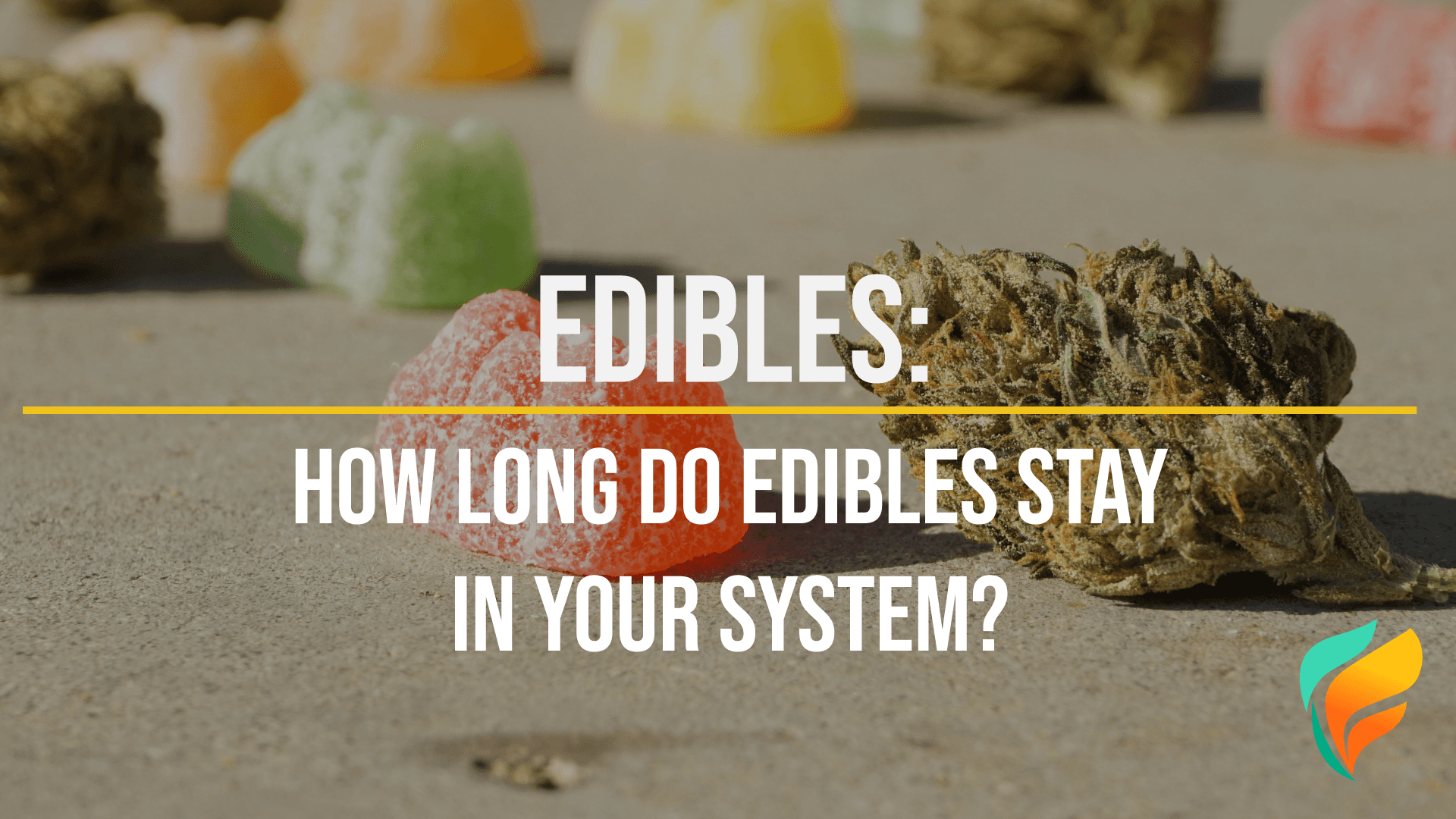 How Long Do Edibles Stay in Your System?