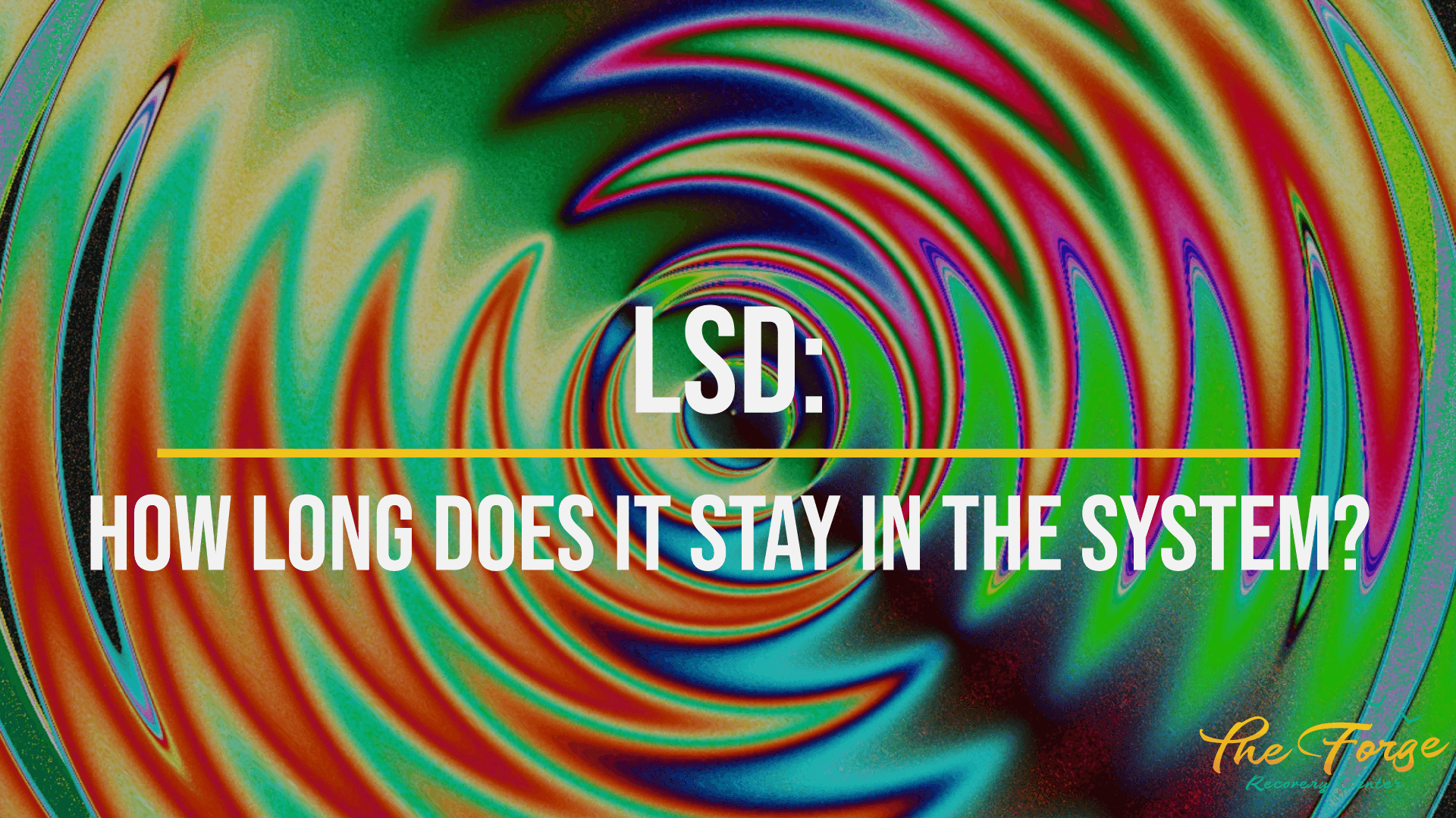 LSD: How Long Does LSD Stay in Your System? What are the Other Effects of this Drug?