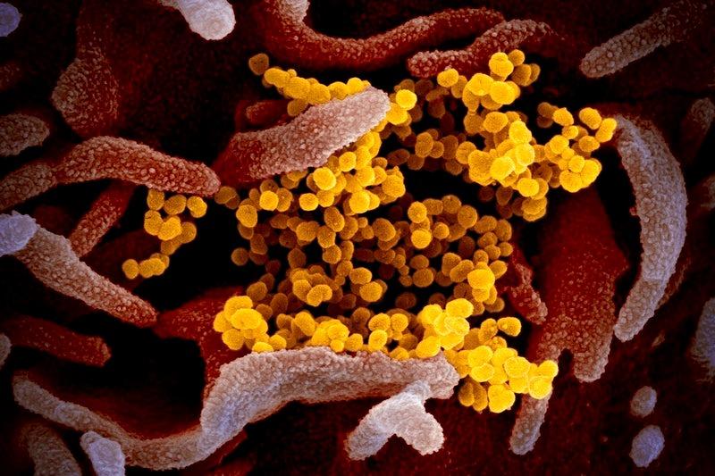 Street Drugs and Fentanyl Contamination