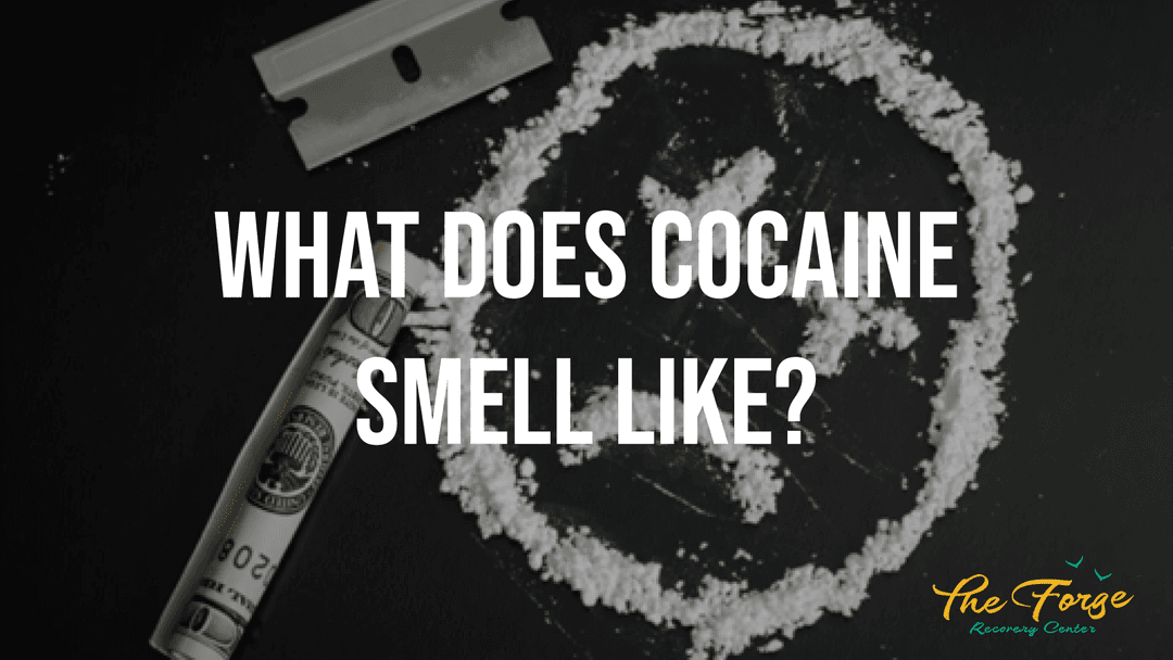 What Does Cocaine Smell Like?