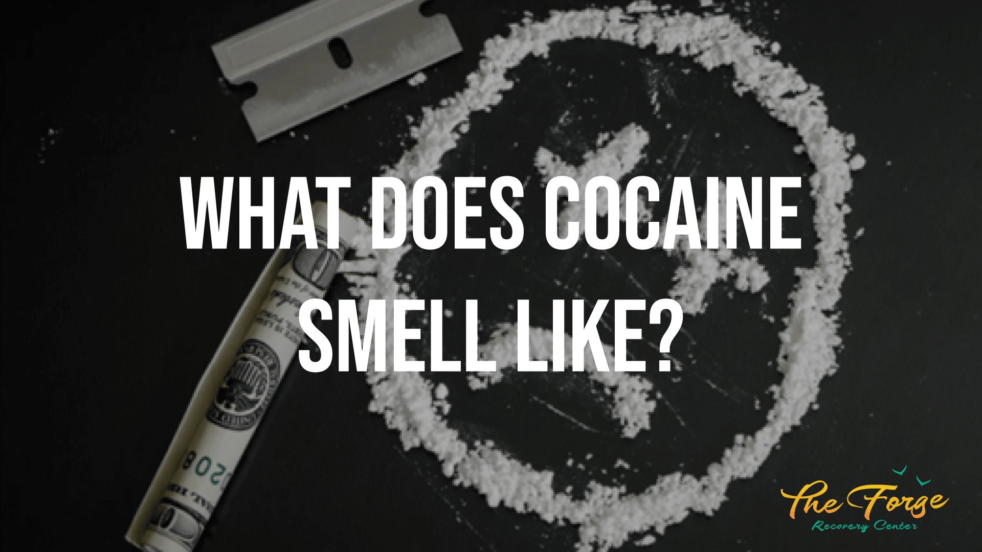 Recognizing Cocaine: What Does Cocaine Smell Like?