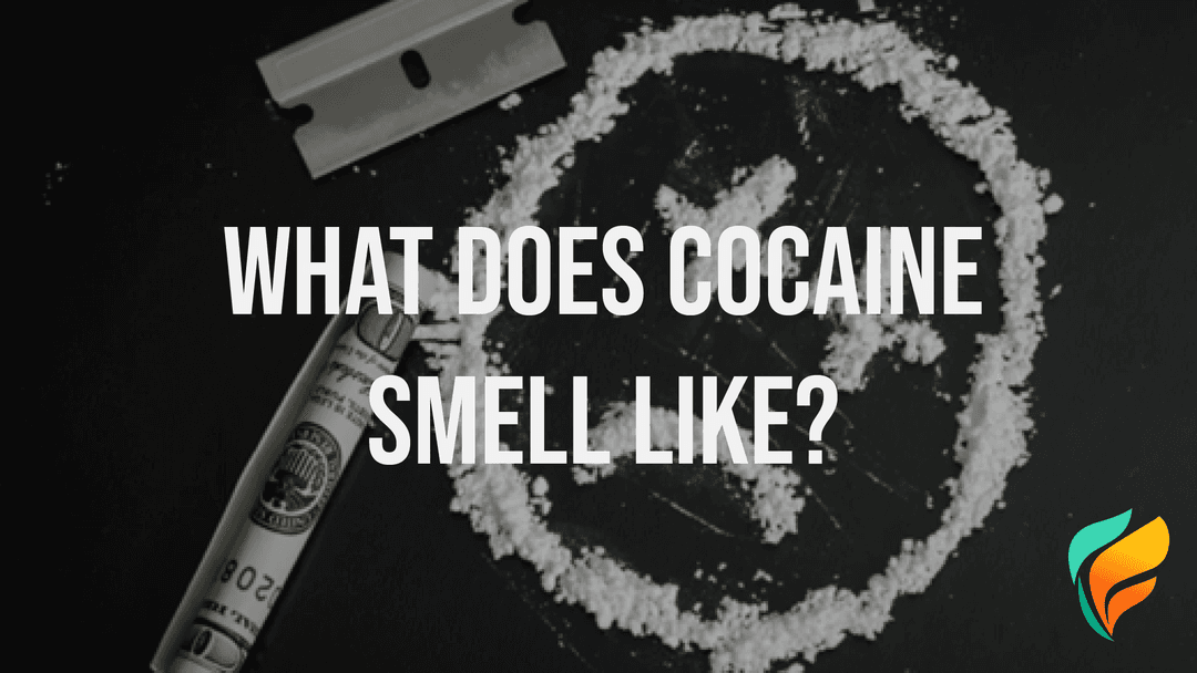 What Does Cocaine Smell Like?