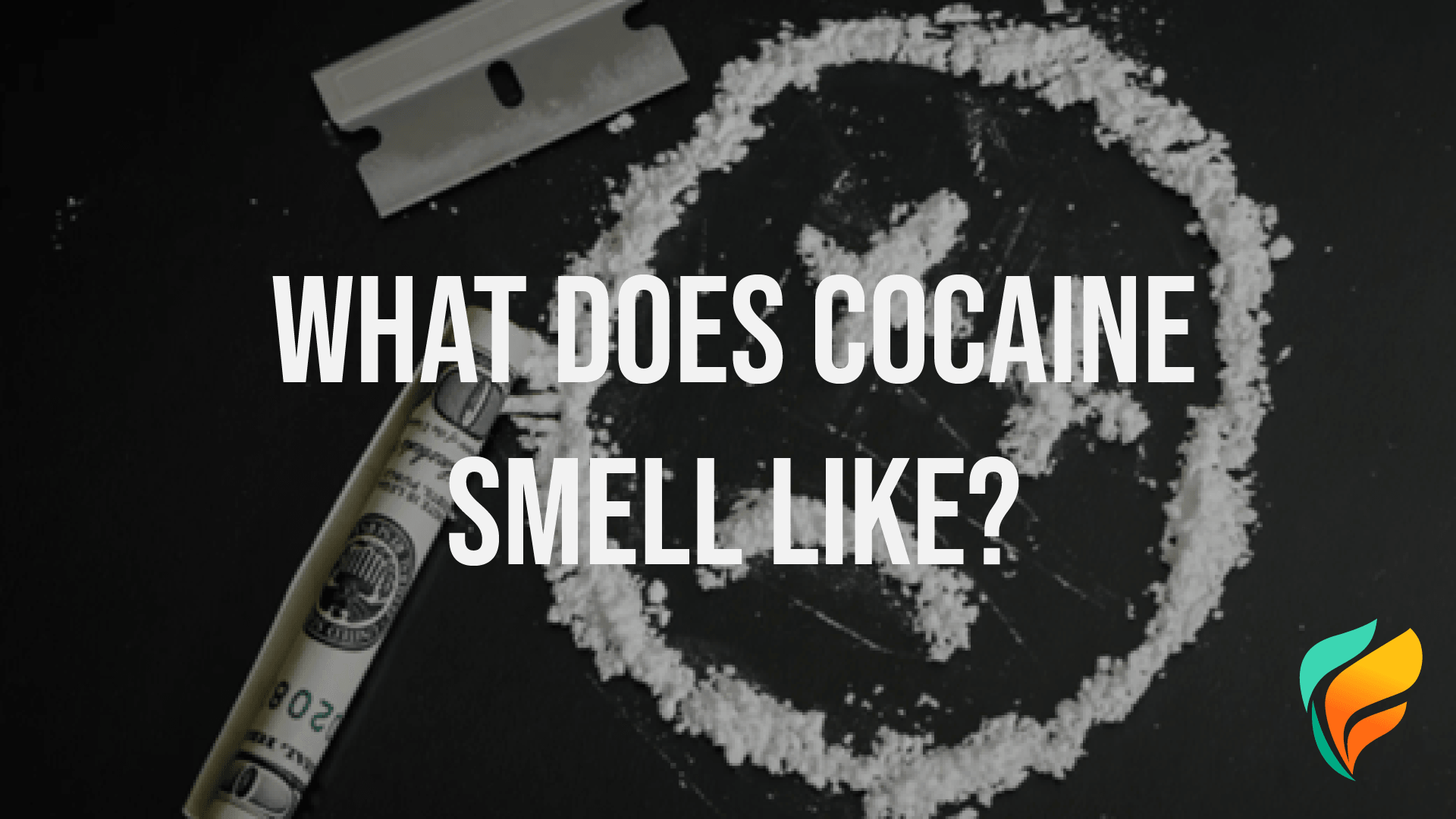 Recognizing Cocaine: What Does Cocaine Smell Like?