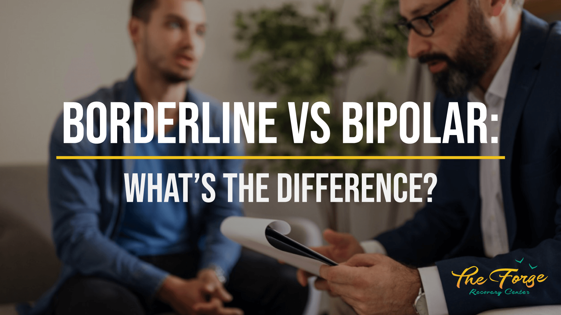 Borderline vs Bipolar: Do You Know the Differences Between Them?
